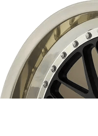 Z-Performance Finish Polished Gold